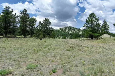 376 Copeland Road, Guffey, CO 80820 - Photo 41