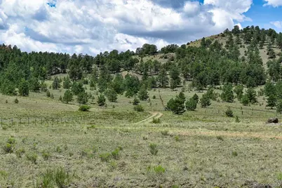 376 Copeland Road, Guffey, CO 80820 - Photo 23