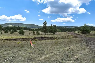 376 Copeland Road, Guffey, CO 80820 - Photo 25