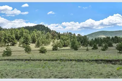 376 Copeland Road, Guffey, CO 80820 - Photo 19