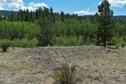 376 Copeland Road, Guffey, CO 80820 - Photo 39