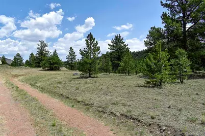 376 Copeland Road, Guffey, CO 80820 - Photo 15