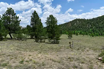 376 Copeland Road, Guffey, CO 80820 - Photo 33