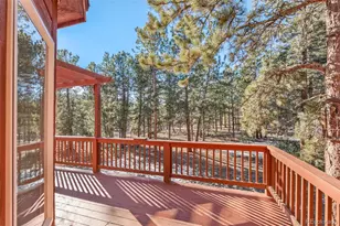 349 Gunsmoke Dr, Bailey, CO 80421 - Photo 43