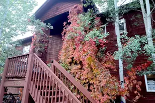 349 Gunsmoke Dr, Bailey, CO 80421 - Photo 49