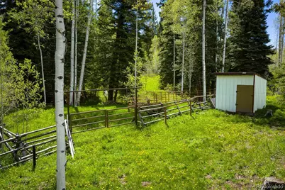12123 County Rd 313, New Castle, CO 81647 - Photo 7