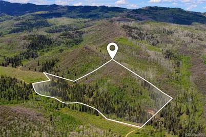 12123 County Rd 313, New Castle, CO 81647 - Photo 5