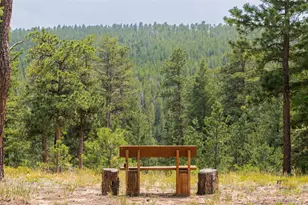 2001 Co Rd 68, Nederland, CO 80466 - Photo 37