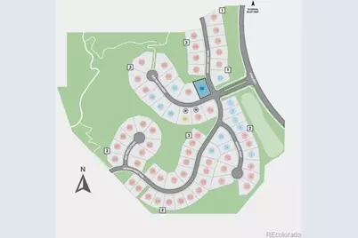 1733 Fox Trotter Point, Castle Rock, CO 80104 - Photo 33