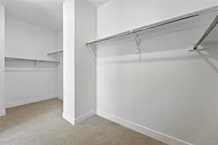 1733 Fox Trotter Pt, Castle Rock, CO 80104 - Photo 17