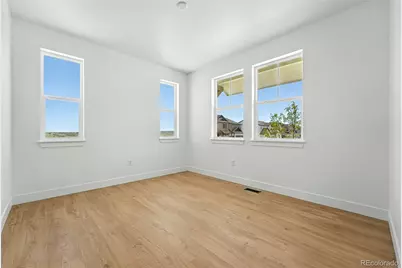 1733 Fox Trotter Point, Castle Rock, CO 80104 - Photo 11