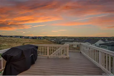 14317 Shasta Daisy Point, Parker, CO 80134 - Photo 47