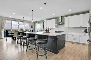 14317 Shasta Daisy Pt, Parker, CO 80134 - Photo 11