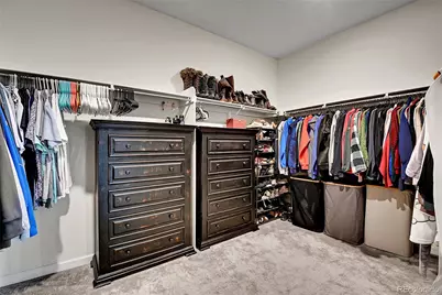 14317 Shasta Daisy Point, Parker, CO 80134 - Photo 35