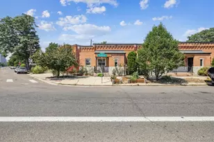 3119 N Downing St, Denver, CO 80205 - Photo 19