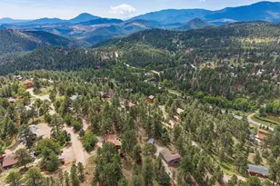247 Bunny Rd, Bailey, CO 80421 - Photo 35
