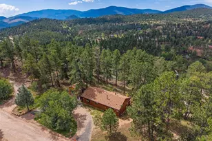 247 Bunny Rd, Bailey, CO 80421 - Photo 37