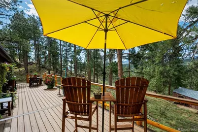 247 Bunny Road, Bailey, CO 80421 - Photo 19