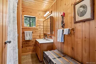 247 Bunny Rd, Bailey, CO 80421 - Photo 11