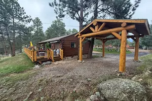 247 Bunny Rd, Bailey, CO 80421 - Photo 31
