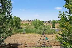 10459 Wagon Box Cir, Littleton, CO 80130 - Photo 13