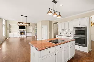 10085 Cottoncreek Dr, Highlands Ranch, CO 80130 - Photo 19