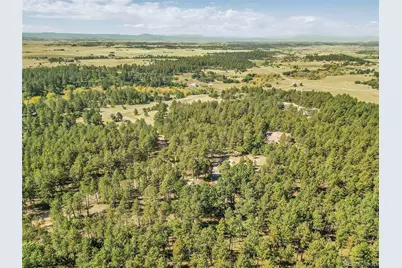 10445 Empire Drive, Franktown, CO 80116 - Photo 41