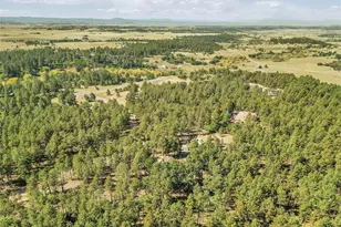 10445 Empire Dr, Franktown, CO 80116 - Photo 41