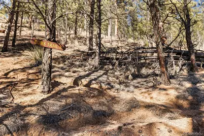 15185 Rainbow Drive, Sedalia, CO 80135 - Photo 15