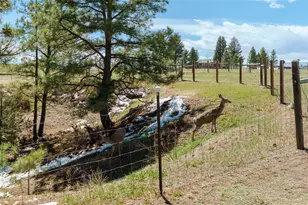 1851 Buttercup Rd, Elizabeth, CO 80107 - Photo 45