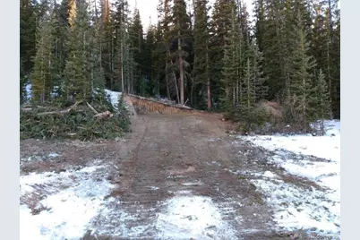 159 Hamilton Lane, Breckenridge, CO 80424 - Photo 27