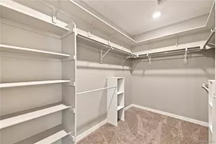 4830 Fiadore Ln, Castle Rock, CO 80104 - Photo 35