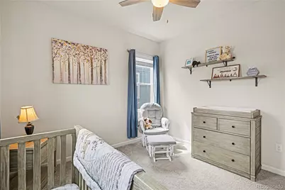 1172 Basalt Ridge Loop, Castle Rock, CO 80108 - Photo 27