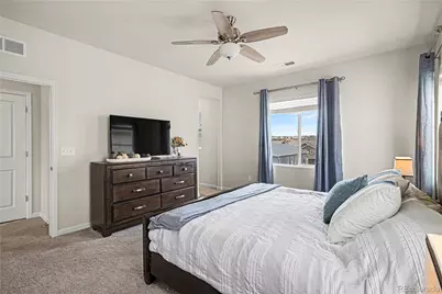 1172 Basalt Ridge Loop, Castle Rock, CO 80108 - Photo 21