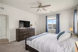 1172 Basalt Ridge Loop, Castle Rock, CO 80108 - Photo 21