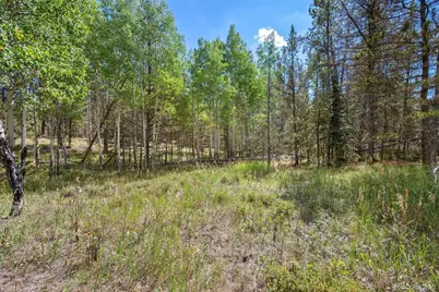 001 Lot 12 Indian Springs Rd, Conifer, CO 80433 - Photo 9