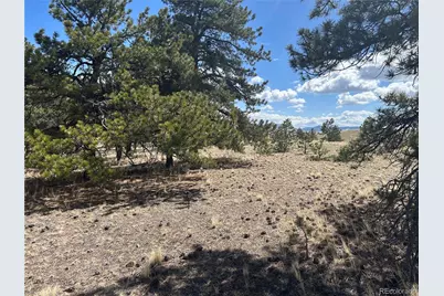 517 Brahma Circle, Hartsel, CO 80449 - Photo 5