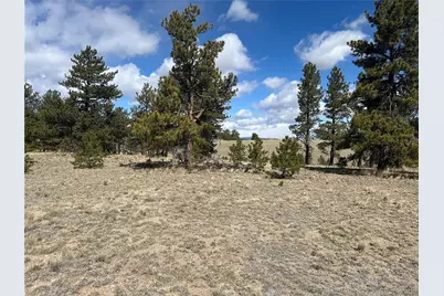 517 Brahma Circle, Hartsel, CO 80449 - Photo 7