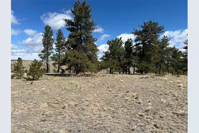 517 Brahma Circle, Hartsel, CO 80449 - Photo 9