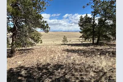 517 Brahma Circle, Hartsel, CO 80449 - Photo 3