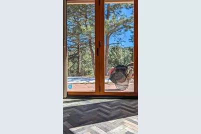 23004 Whispering Woods, Golden, CO 80401 - Photo 47