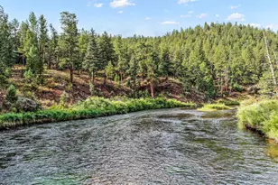 8123 Y Camp Rd, Sedalia, CO 80135 - Photo 45