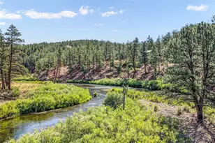 8123 Y Camp Rd, Sedalia, CO 80135 - Photo 47
