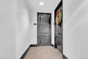 925 N Lincoln Street, Denver, CO 80203 - Photo 19