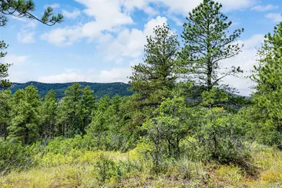 8160 Bannock Drive, Larkspur, CO 80118 - Photo 9