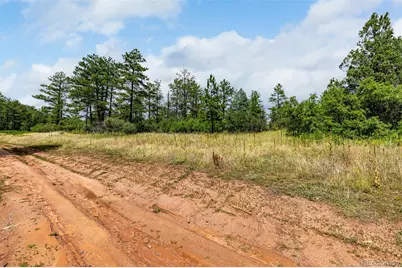 8160 Bannock Drive, Larkspur, CO 80118 - Photo 27