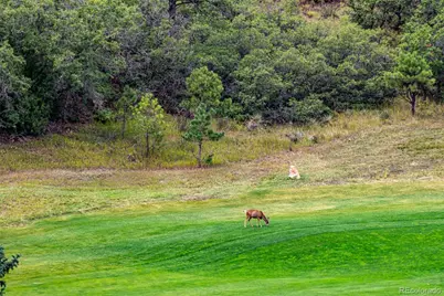 8160 Bannock Drive, Larkspur, CO 80118 - Photo 45