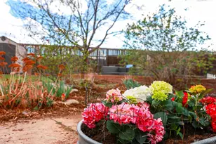 8853 S Dudley St, Littleton, CO 80128 - Photo 41