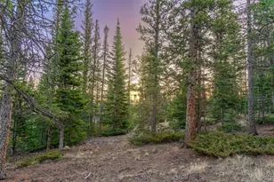 248 French Pass Cir, Jefferson, CO 80456 - Photo 37