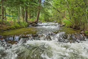 2971 Fall River Rd, Idaho Springs, CO 80452 - Photo 35